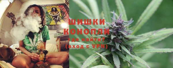 сатива Абаза