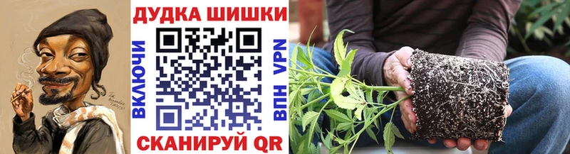 Конопля SATIVA & INDICA  даркнет сайт  Фёдоровский 